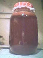 kombucha_pic1